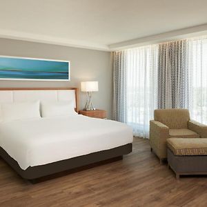 Suite mit Kingsize-Bett